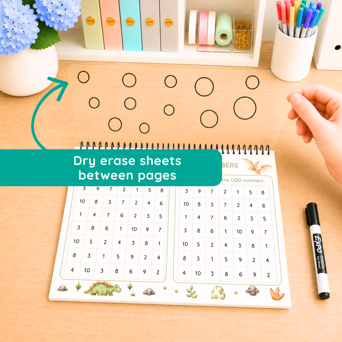 Dino | Reusable Activity Book Set