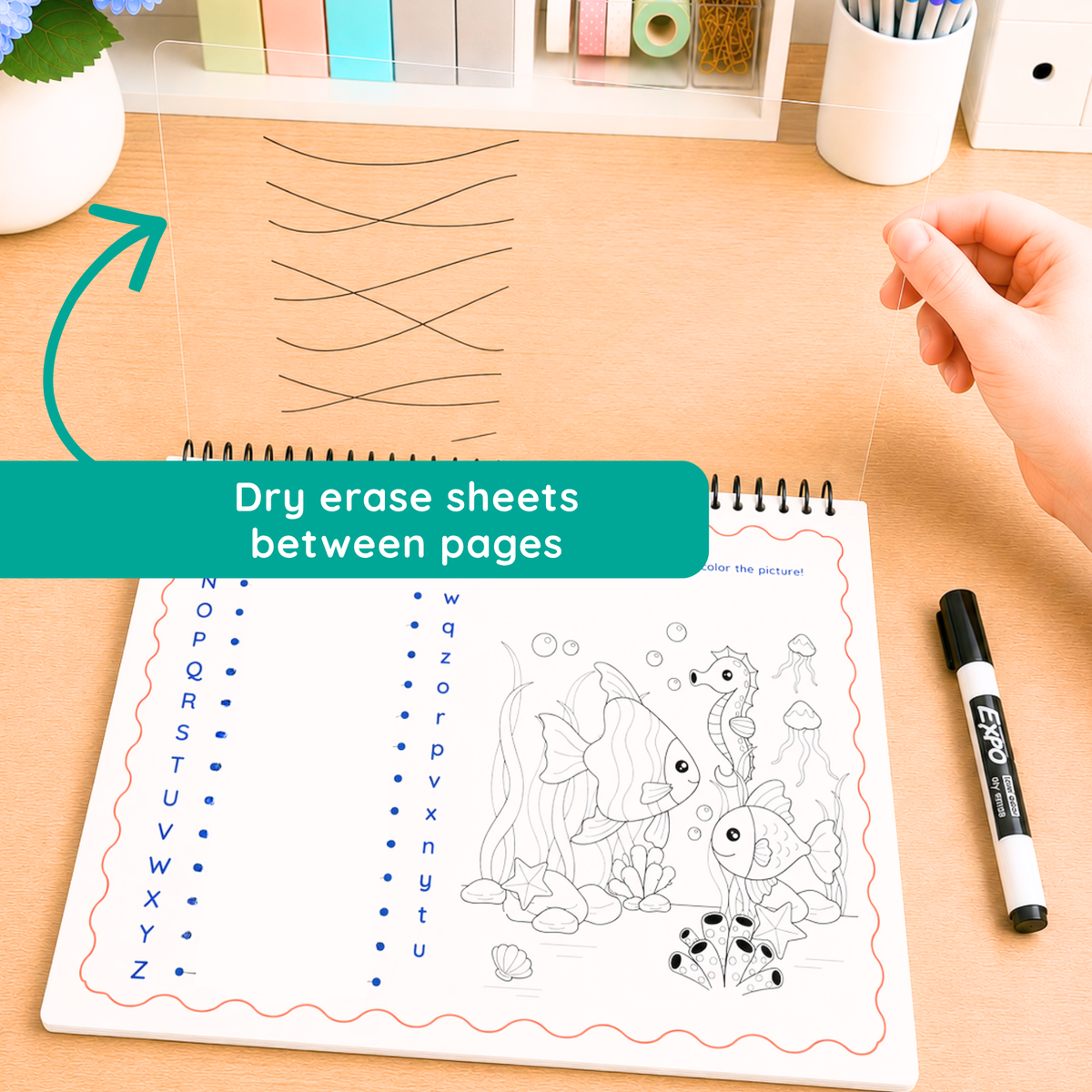 Ocean | Reusable Activity Book Set