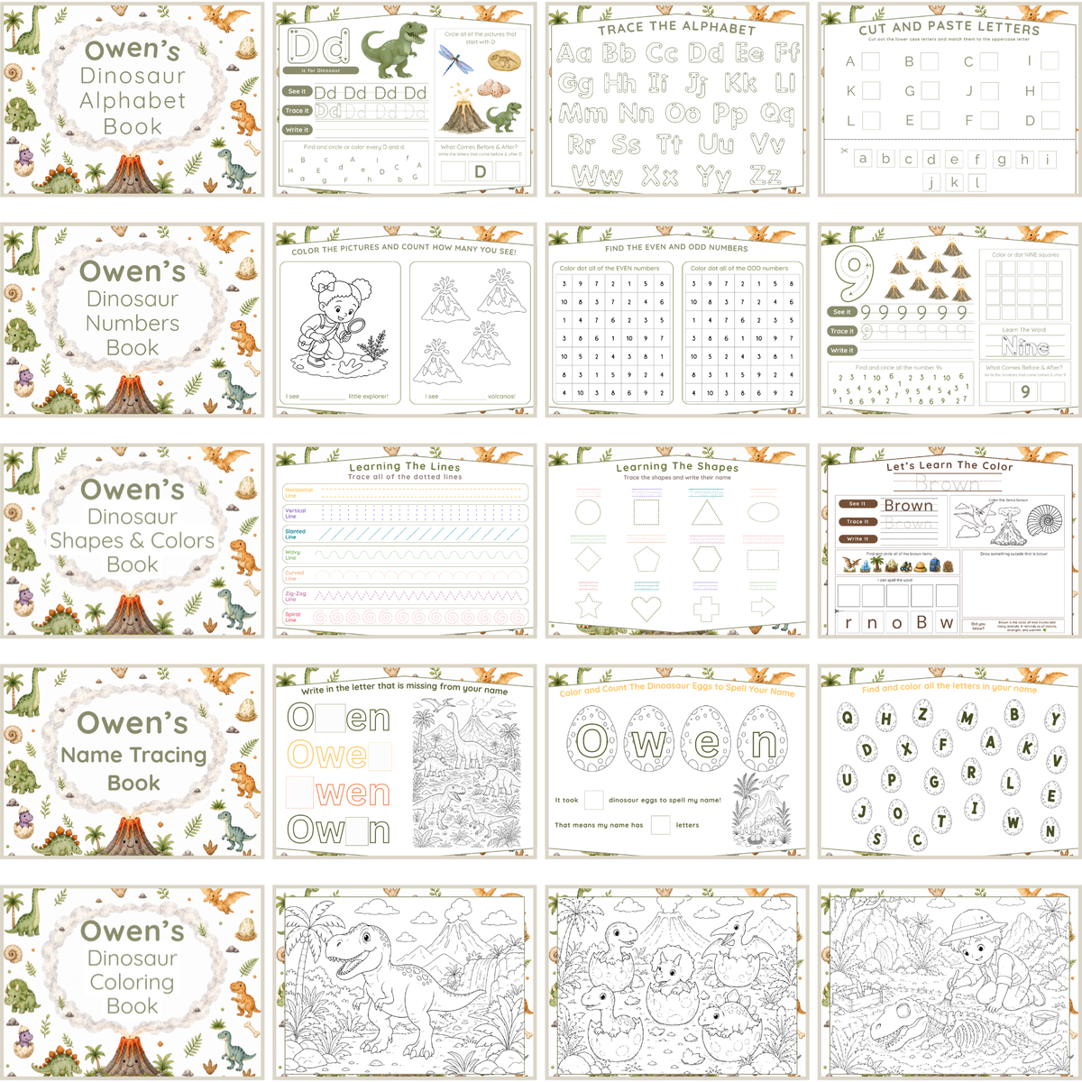 Dino | Reusable Activity Book Set